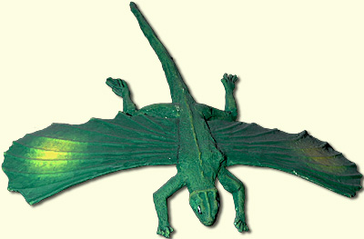 Icarosaurus Model