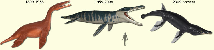 changes in Mosasaurus