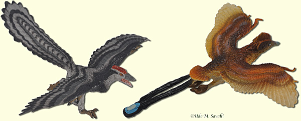 Archaeopteryx & Confuciusornis Models