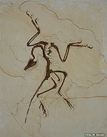 Archaeopteryx Fossil