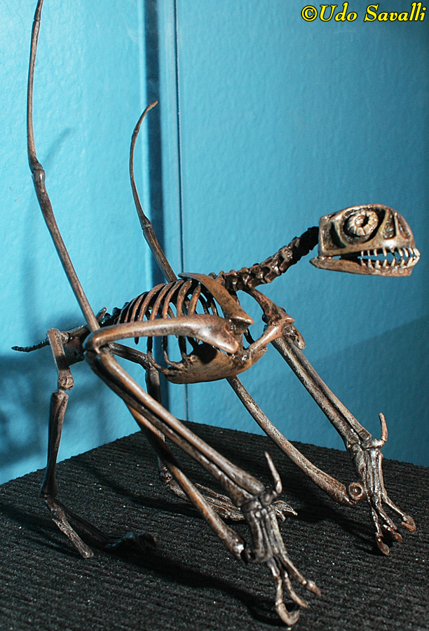 Jeholopterus