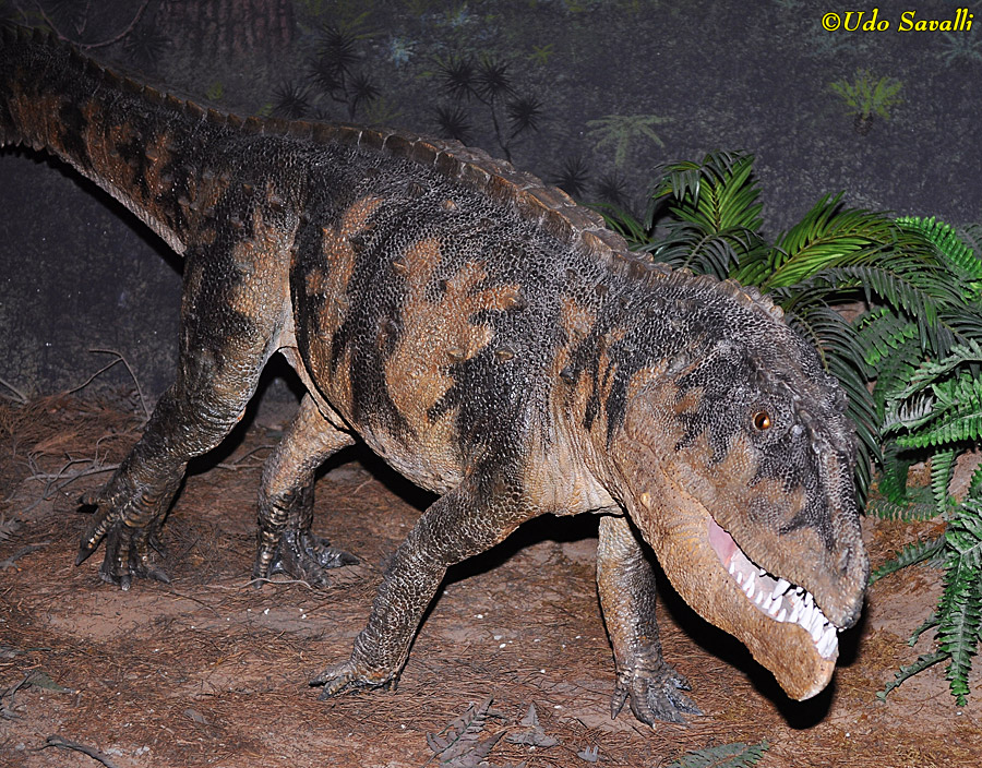 Postosuchus Model