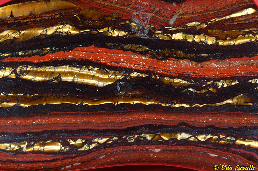 stromatolite