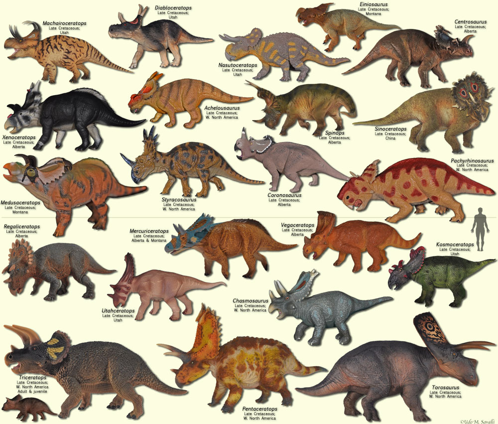 Image result for Ceratopsidae