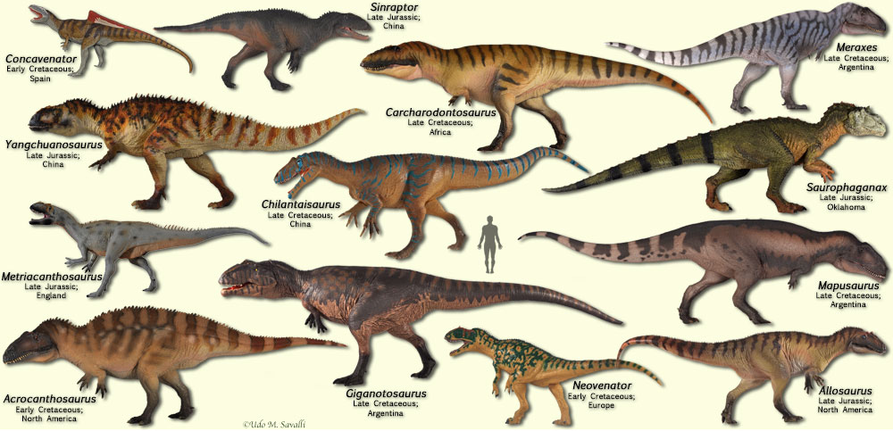 bio113-carnivorous-dinosaurs