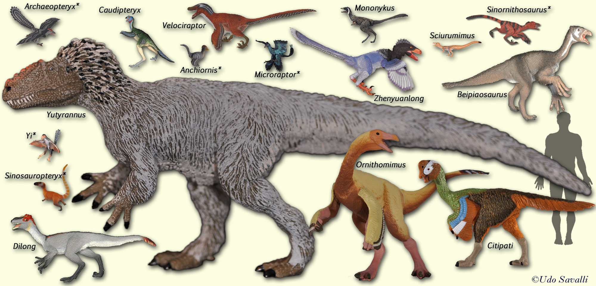 Beipiaosaurus Fossil